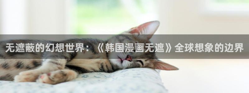 贝勒漫画正版入口：无遮蔽的幻想世界：《韩国漫画无遮》全球想象的边界