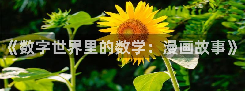 贝勒漫画在线观看免费：《数字世界里的数学：漫画故事》