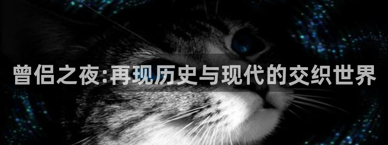 贝勒漫画在线观看入口：曾侣之夜:再现历史与现代的交织世界