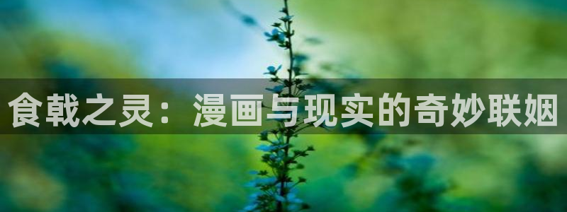 贝勒漫画网页版在线阅读：食戟之灵：漫画与现实的奇妙联姻