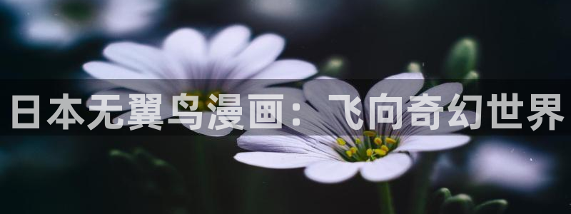 贝勒漫画—全部漫画：日本无翼鸟漫画：飞向奇幻世界