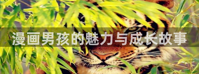 贝勒漫画全部漫画免费入口：漫画男孩的魅力与成长故事