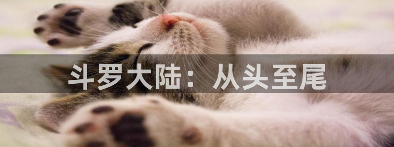 maison贝勒漫画：斗罗大陆：从头至尾