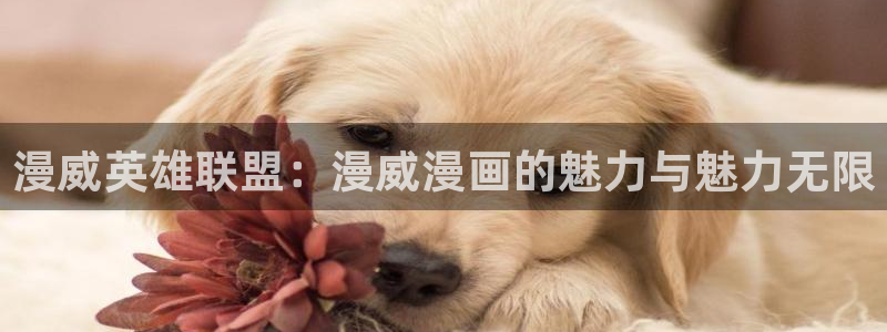 贝勒漫画免费大全：漫威英雄联盟：漫威漫画的魅力与魅力无限
