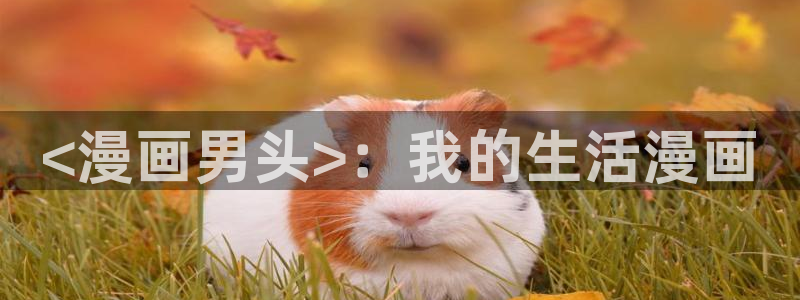 贝勒漫画免费阅读：<漫画男头>：我的生活漫画