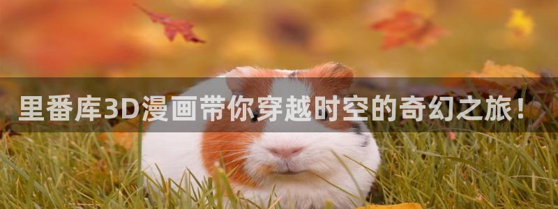 韩国贝勒漫画：里番库3D漫画带你穿越时空的奇幻之旅！