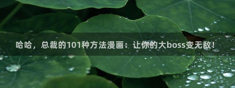 abd贝勒漫画：哈哈，总裁的101种方法漫画：让你的大boss变无敌！
