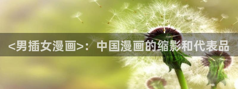贝勒漫画网址：<男插女漫画>：中国漫画的缩影和代表品