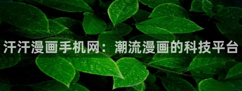 贝勒漫画在线网站：汗汗漫画手机网：潮流漫画的科技平台