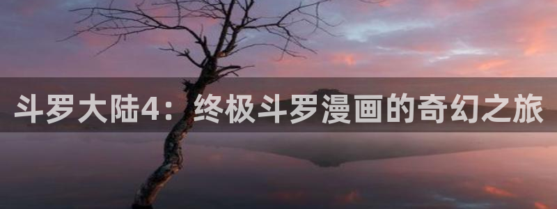 贝勒漫画剑与花：斗罗大陆4：终极斗罗漫画的奇幻之旅