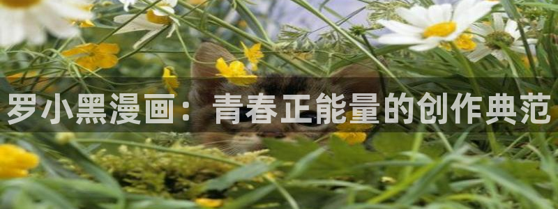 贝勒漫画2024新版免费：罗小黑漫画：青春正能量的创作典范