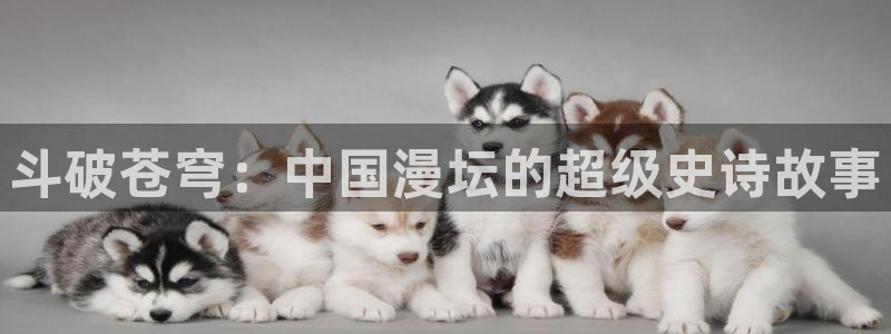 贝勒漫画在线观看免费
